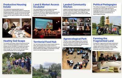 Building blocks agroecolog urbanism.jpg